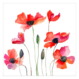 Plakat samoprzylepny Kwiaty w różnych odcieniach czerwieni
