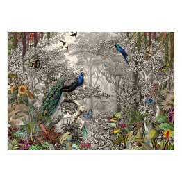Plakat samoprzylepny tapeta dżungla i las tropikalny palma bananowa i tropikalne ptaki pawie ptaki stary rysunek rocznika