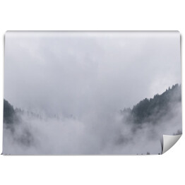 Fototapeta Niesamowite mistyczne wznosząca się mgła las drzewa krajobraz w czarnym lesie ( Schwarzwald ) Niemcy panorama banner - ciemny nastrój