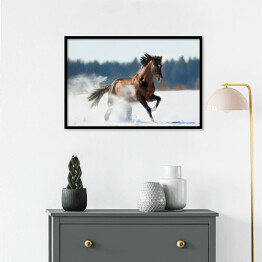 Plakat w ramie Zimowy krajobraz z biegnącym brązowym koniem