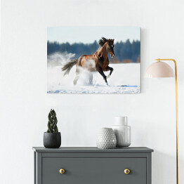 Obraz na płótnie Zimowy krajobraz z biegnącym brązowym koniem