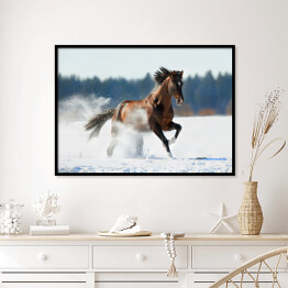 Plakat w ramie Zimowy krajobraz z biegnącym brązowym koniem