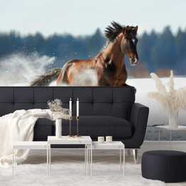 Fototapeta Zimowy krajobraz z biegnącym brązowym koniem