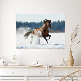 Plakat Zimowy krajobraz z biegnącym brązowym koniem