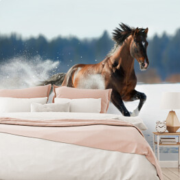 Fototapeta winylowa zmywalna Zimowy krajobraz z biegnącym brązowym koniem