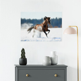 Plakat samoprzylepny Zimowy krajobraz z biegnącym brązowym koniem