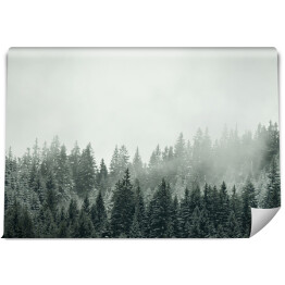 Fototapeta winylowa zmywalna Niesamowite mistyczne wznoszenie się mgły niebo las śnieżny drzewa krajobraz snowscape w czarnym lesie (Schwarzwald) zima, Niemcy panorama banner - mistyczny nastrój śniegu