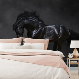 Fototapeta samoprzylepna Galopujący czarny koń na ciemnym tle