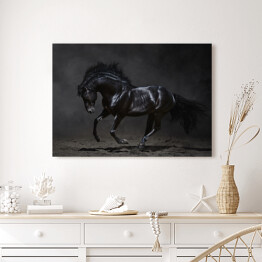 Obraz na płótnie Galopujący czarny koń na ciemnym tle
