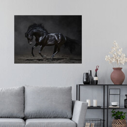 Plakat Galopujący czarny koń na ciemnym tle