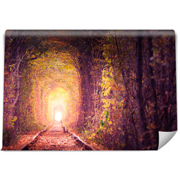 Fototapeta samoprzylepna Kolej w lesie. Tunel miłości. Jesienny krajobraz.