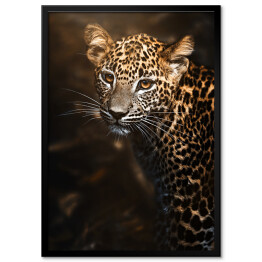 Plakat w ramie Lampart cejloński (Panthera pardus kotiya) portret szczegółowy