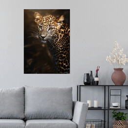 Plakat Lampart cejloński (Panthera pardus kotiya) portret szczegółowy