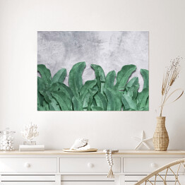 Plakat Fototapety do wnętrza. Liście bananowca. Zielone liście tropikalne. Fototapeta na ściany. Dekoracja wykonana z liści.