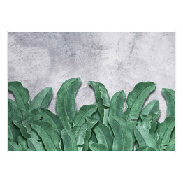 Plakat Fototapety do wnętrza. Liście bananowca. Zielone liście tropikalne. Fototapeta na ściany. Dekoracja wykonana z liści.