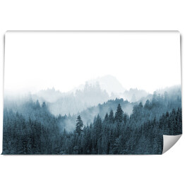 Fototapeta Zielony las górski we mgle. Wiecznie zielone świerki i sosny na zboczach.