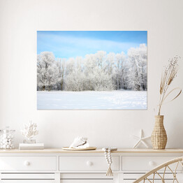 Plakat Widok panoramiczny - rosyjska zima w styczniu