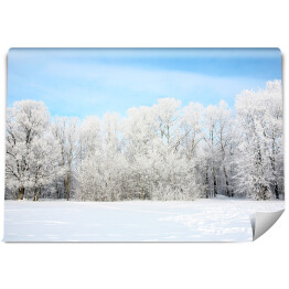 Fototapeta samoprzylepna Widok panoramiczny - rosyjska zima w styczniu