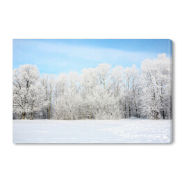 Obraz na płótnie Widok panoramiczny - rosyjska zima w styczniu