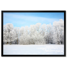 Plakat w ramie Widok panoramiczny - rosyjska zima w styczniu