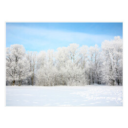 Plakat samoprzylepny Widok panoramiczny - rosyjska zima w styczniu