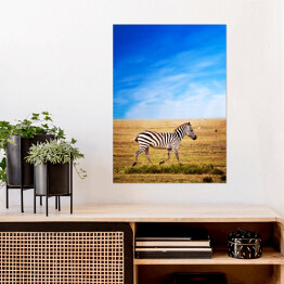 Plakat samoprzylepny Zebra na sawannie w Afryce