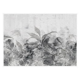 Plakat samoprzylepny rysunek artystyczny na akwarelowym tle tekstury tropikalne liście w szarych odcieniach fototapety do wnętrza