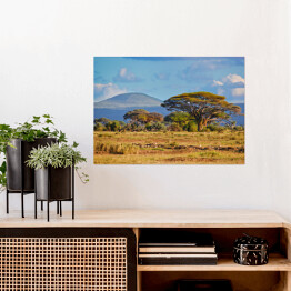 Plakat Krajobraz sawanny, Kenia