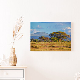 Obraz na płótnie Krajobraz sawanny, Kenia