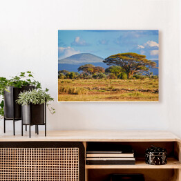 Obraz na płótnie Krajobraz sawanny, Kenia