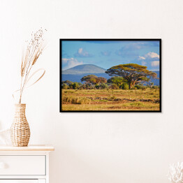 Plakat w ramie Krajobraz sawanny, Kenia