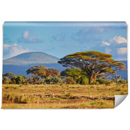 Fototapeta winylowa zmywalna Krajobraz sawanny, Kenia