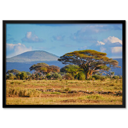 Plakat w ramie Krajobraz sawanny, Kenia