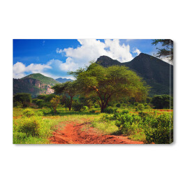 Obraz na płótnie Piękny krajobraz z czerwoną drogą, Kenia
