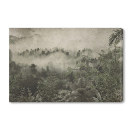 Obraz na płótnie tropikalne drzewa i liście projekt tapety w mglistym lesie - ilustracja 3D