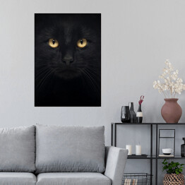 Plakat samoprzylepny Czarny kot patrzący głęboko w oczy