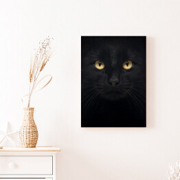 Obraz na płótnie Czarny kot patrzący głęboko w oczy