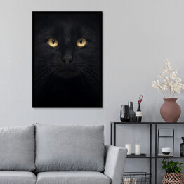 Plakat w ramie Czarny kot patrzący głęboko w oczy