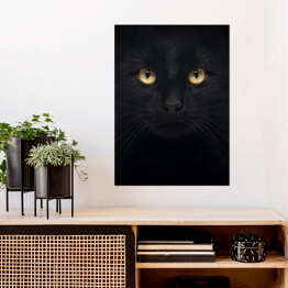 Plakat Czarny kot patrzący głęboko w oczy