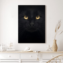 Obraz na płótnie Czarny kot patrzący głęboko w oczy