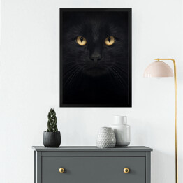 Obraz w ramie Czarny kot patrzący głęboko w oczy