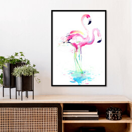 Plakat w ramie Flamingi w wodzie