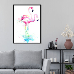 Plakat w ramie Flamingi w wodzie