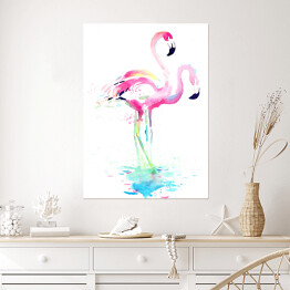 Plakat Flamingi w wodzie