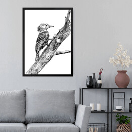 Obraz w ramie Dzięcioł, ptak na gałęzi - szkic