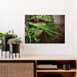 Plakat samoprzylepny Świeże zioła na drewnianym stole