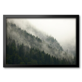 Obraz w ramie Góry z lasem we mgle