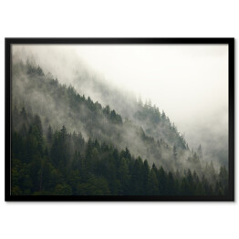 Plakat w ramie Góry z lasem we mgle