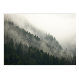 Plakat Góry z lasem we mgle