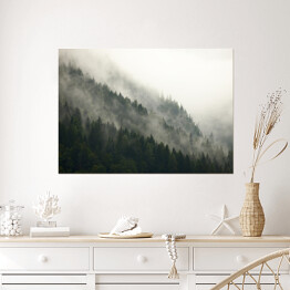 Plakat Góry z lasem we mgle